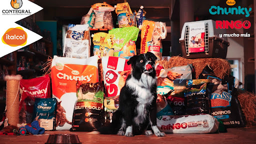 Dr. Dog Pet Shop