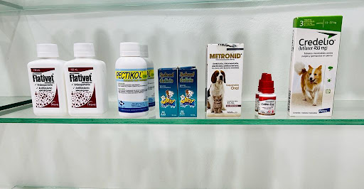 Drogueria Mi Salud La 10 - Sede Girardota