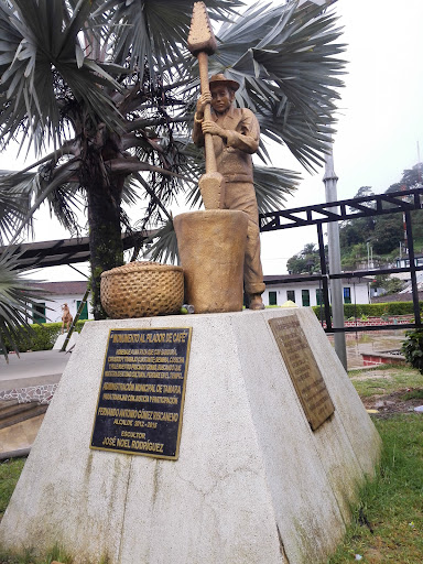 Cooperativa De Caficultores De Tamara