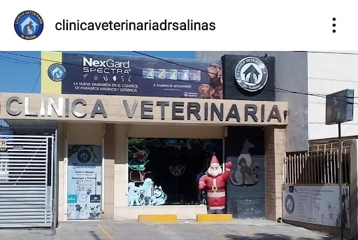 CLINICA VETERINARIA DR SALINAS