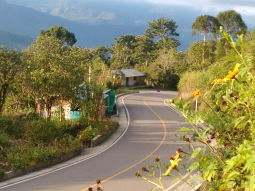 Buenavista